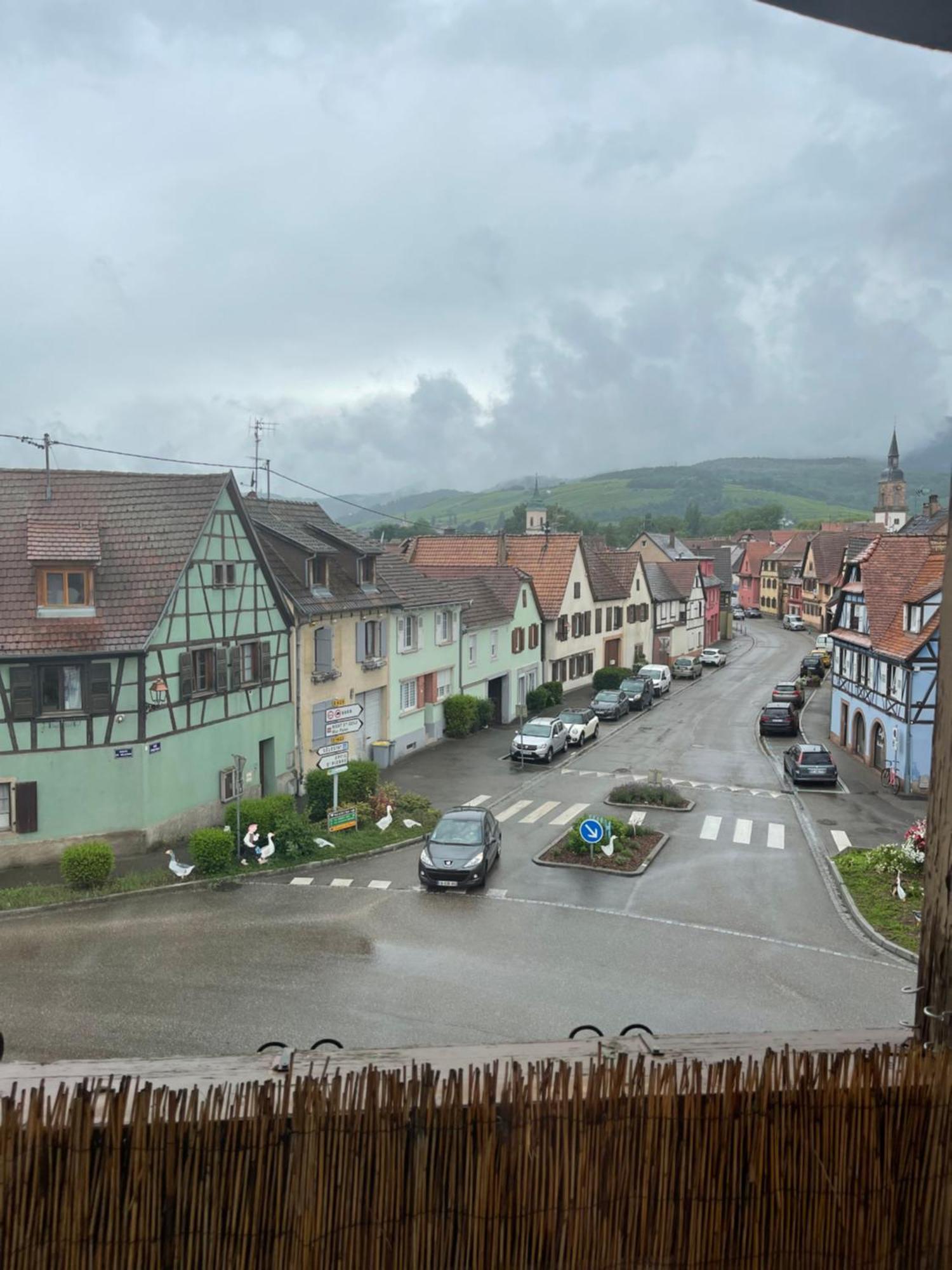 Appartement Centre Alsace Gertwiller Exterior foto